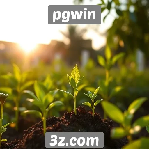 Responsabilidade social nas práticas do pgwin